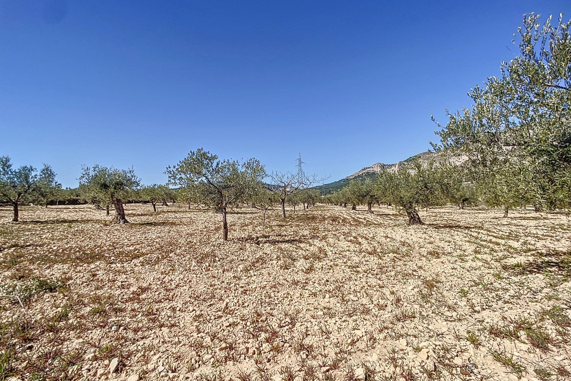 Resale - Plot / Land - Castalla - Comunidad valenciana