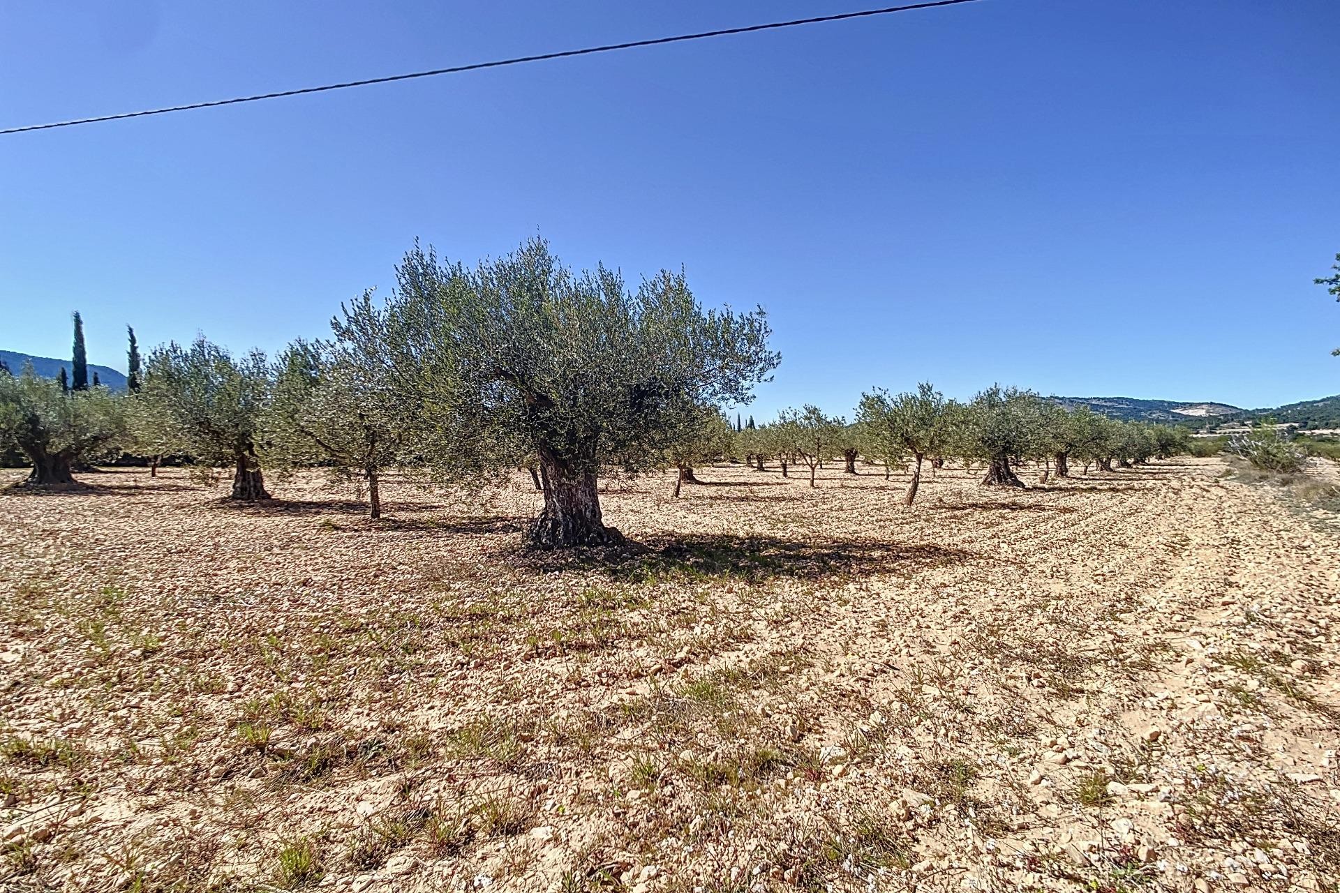 Resale - Plot / Land - Castalla - Comunidad valenciana