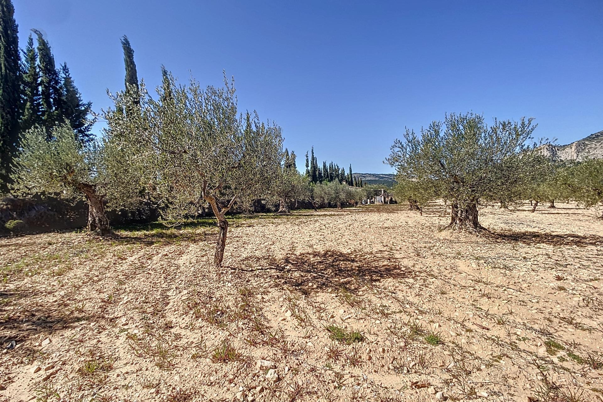 Resale - Plot / Land - Castalla - Comunidad valenciana