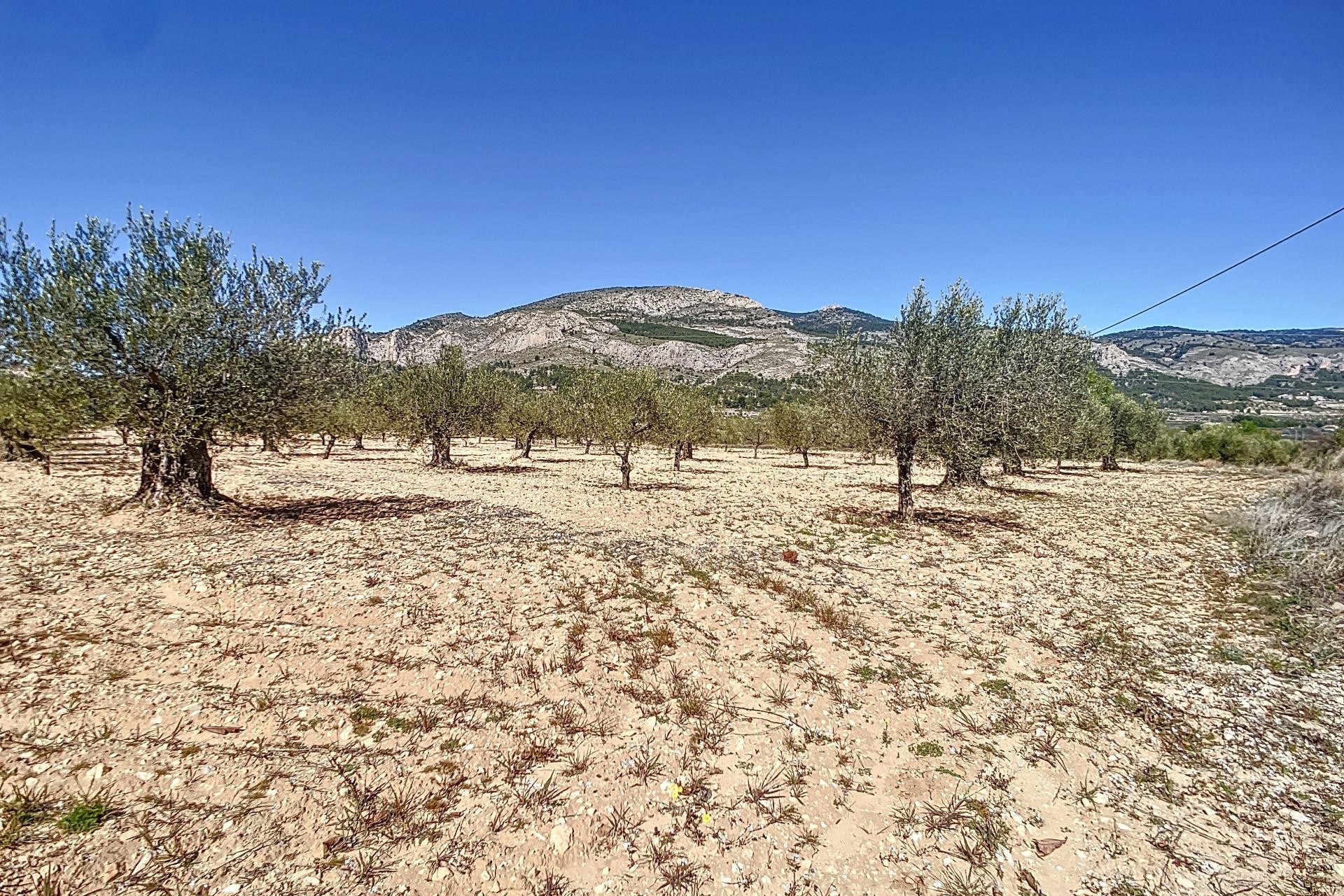 Resale - Plot / Land - Castalla - Comunidad valenciana