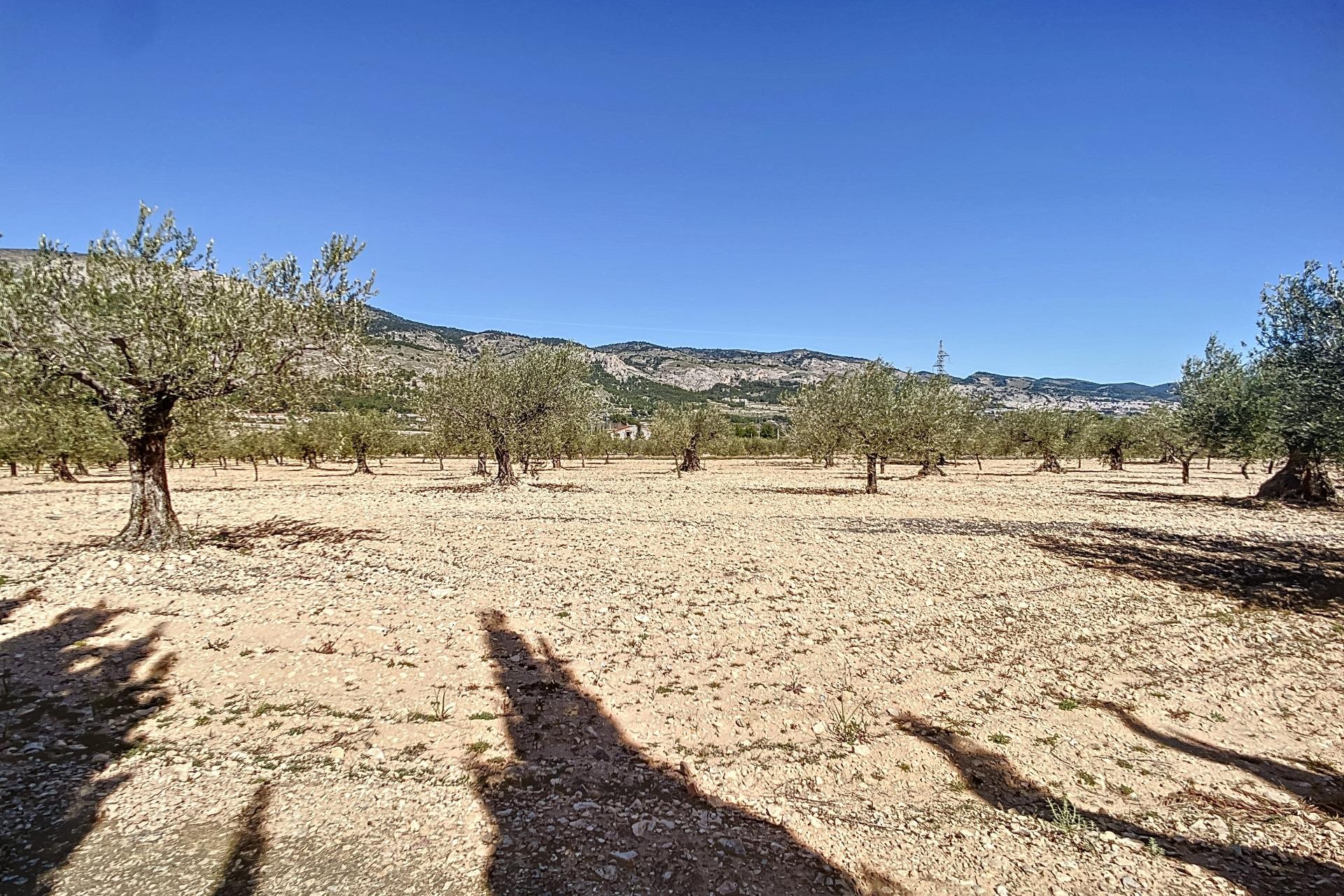 Resale - Plot / Land - Castalla - Comunidad valenciana