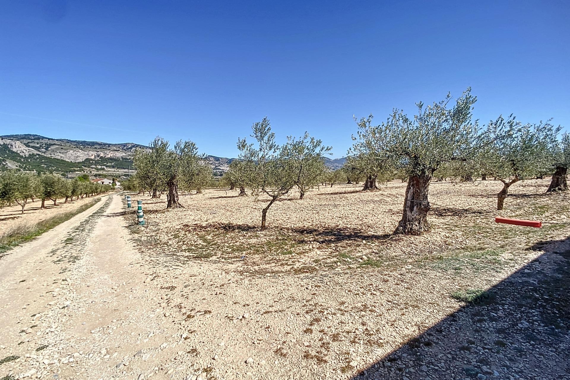 Resale - Plot / Land - Castalla - Comunidad valenciana