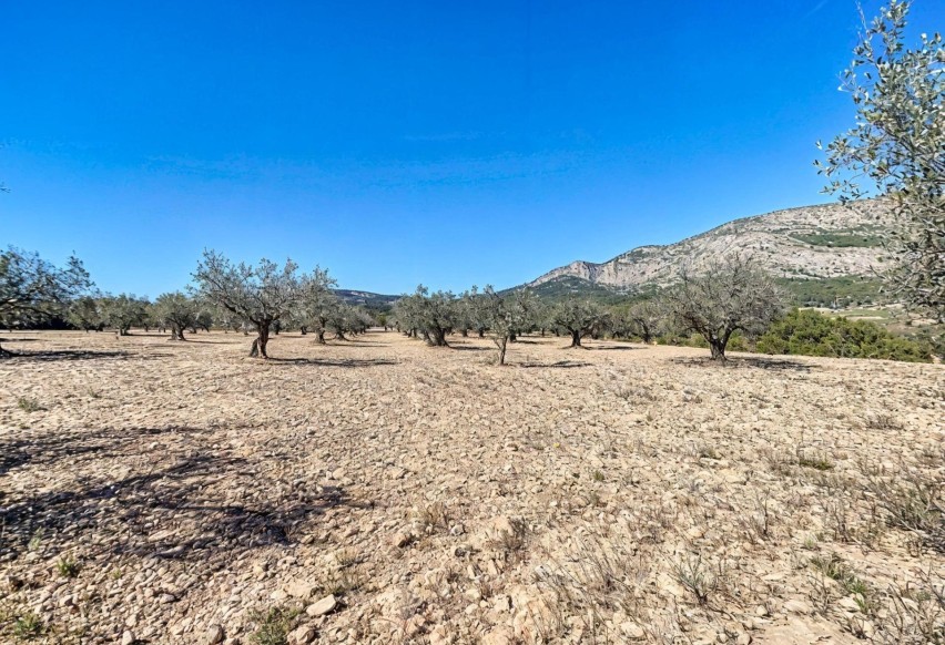 Resale - Plot / Land - Castalla - Ginets