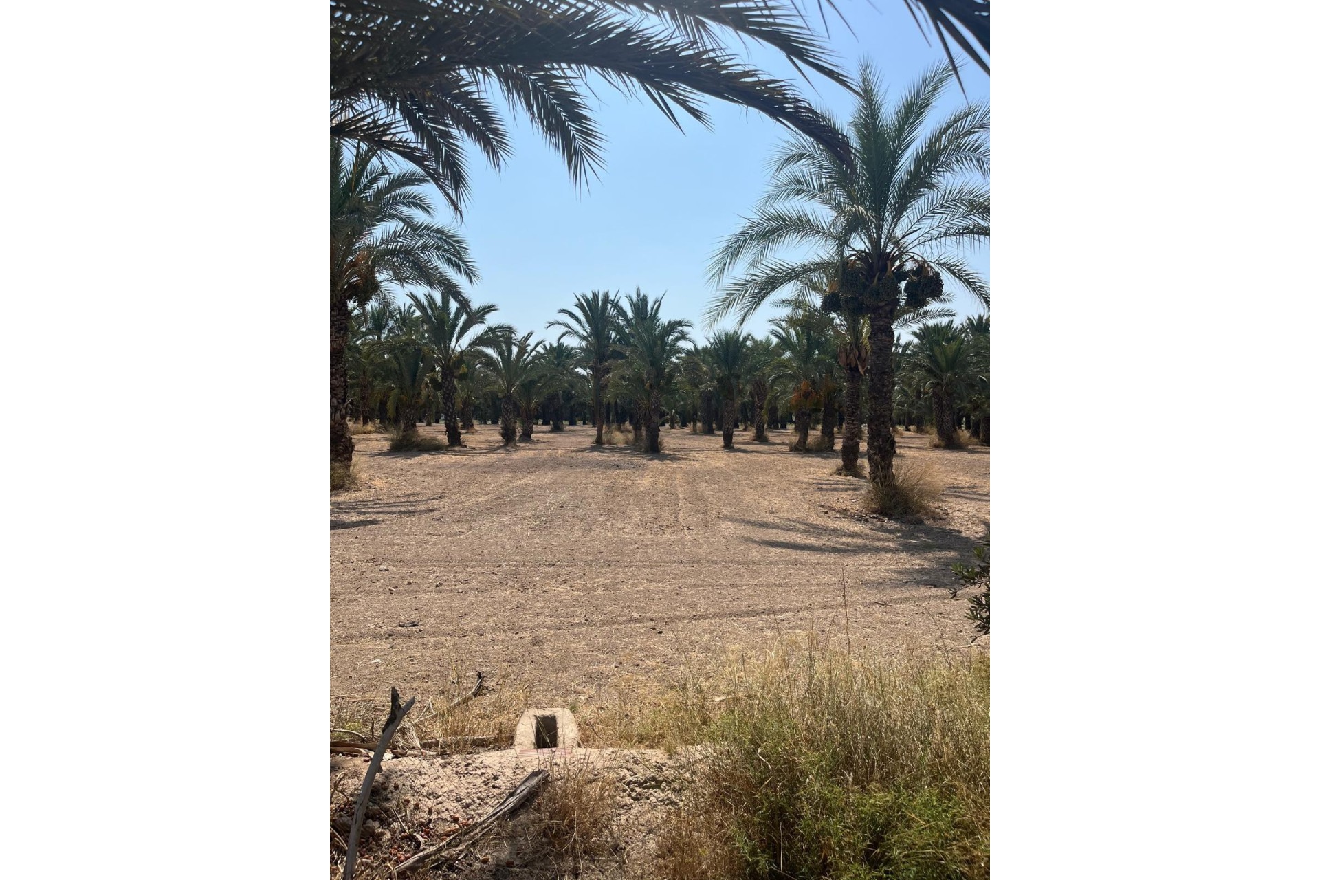 Resale - Plot / Land - Elche Pedanías - Algoda-Matola-Llano de San José