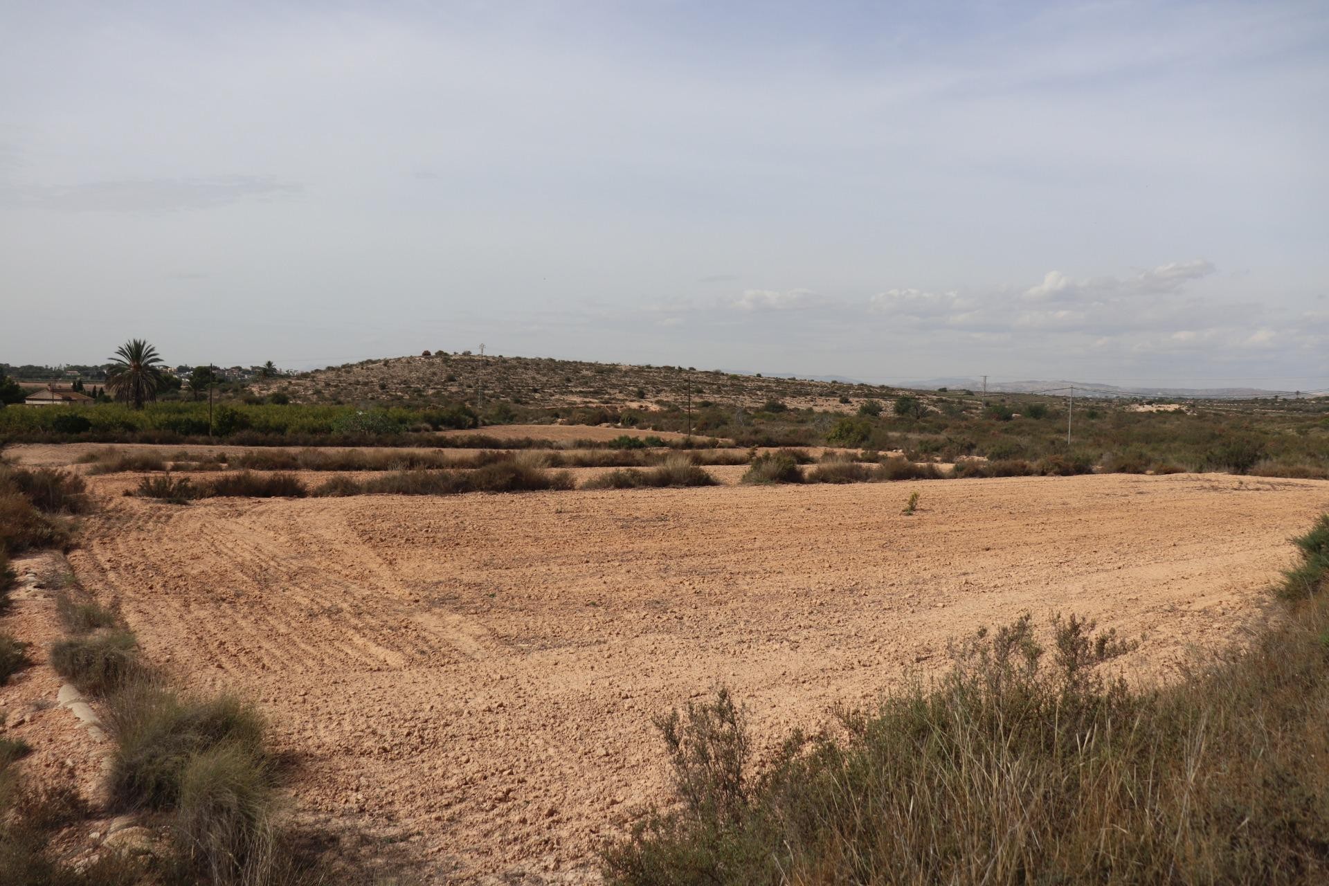 Resale - Plot / Land - Elche Pedanías - Balsares