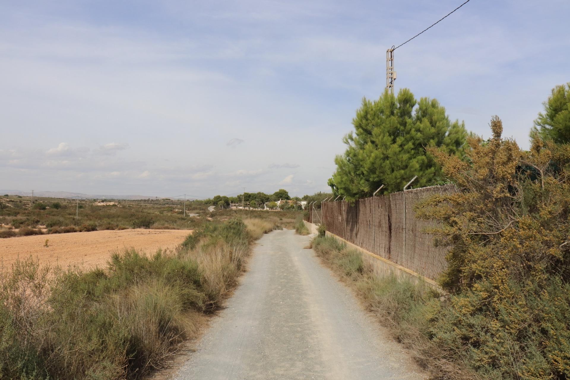 Resale - Plot / Land - Elche Pedanías - Balsares