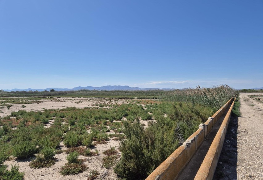 Resale - Plot / Land - Elche Pedanías - La Hoya-Daimes-El Derramador