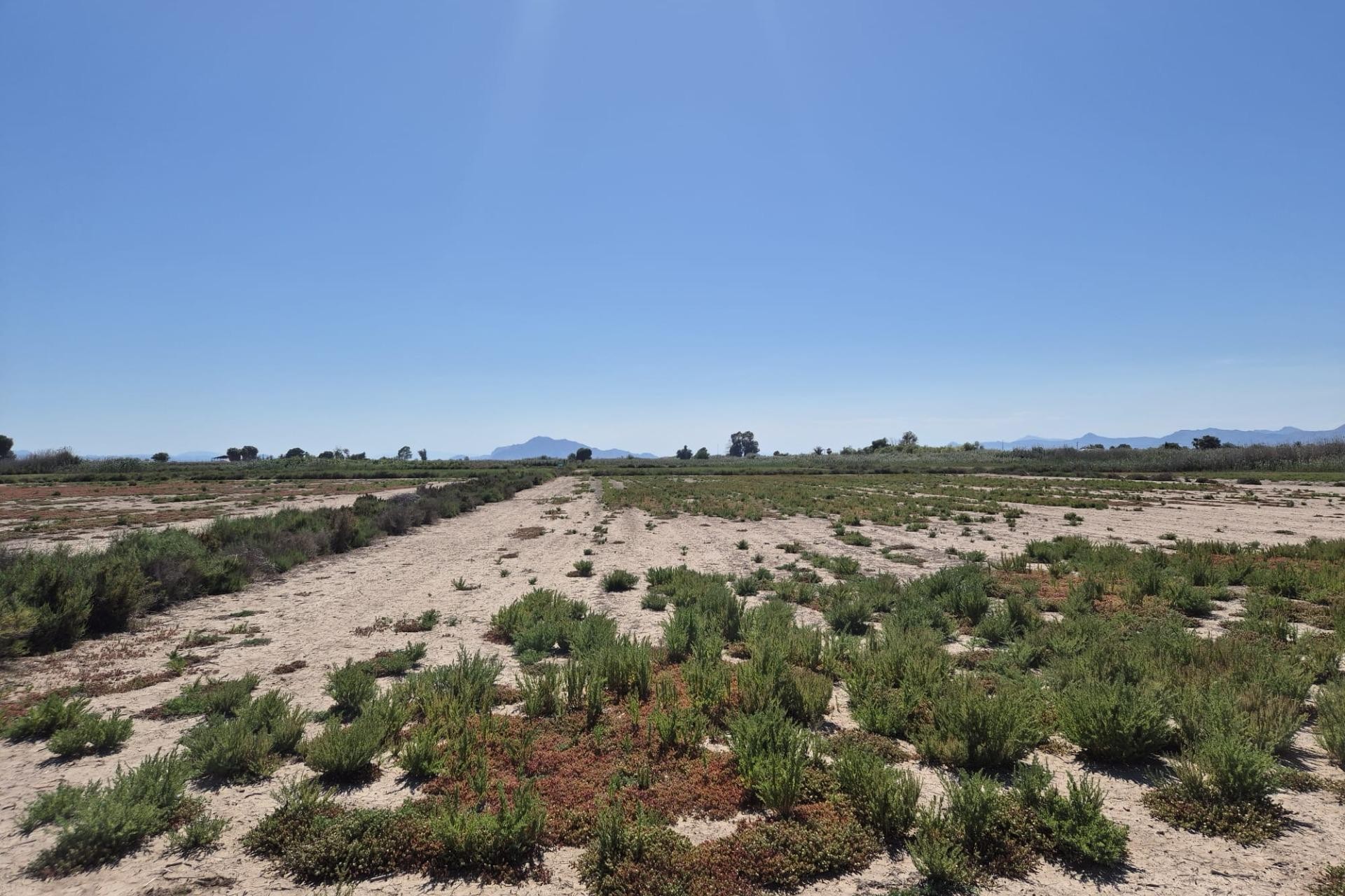Resale - Plot / Land - Elche Pedanías - La Hoya-Daimes-El Derramador