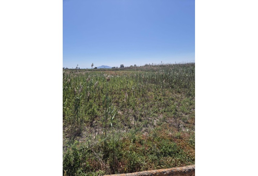 Resale - Plot / Land - Elche Pedanías - La Hoya-Daimes-El Derramador