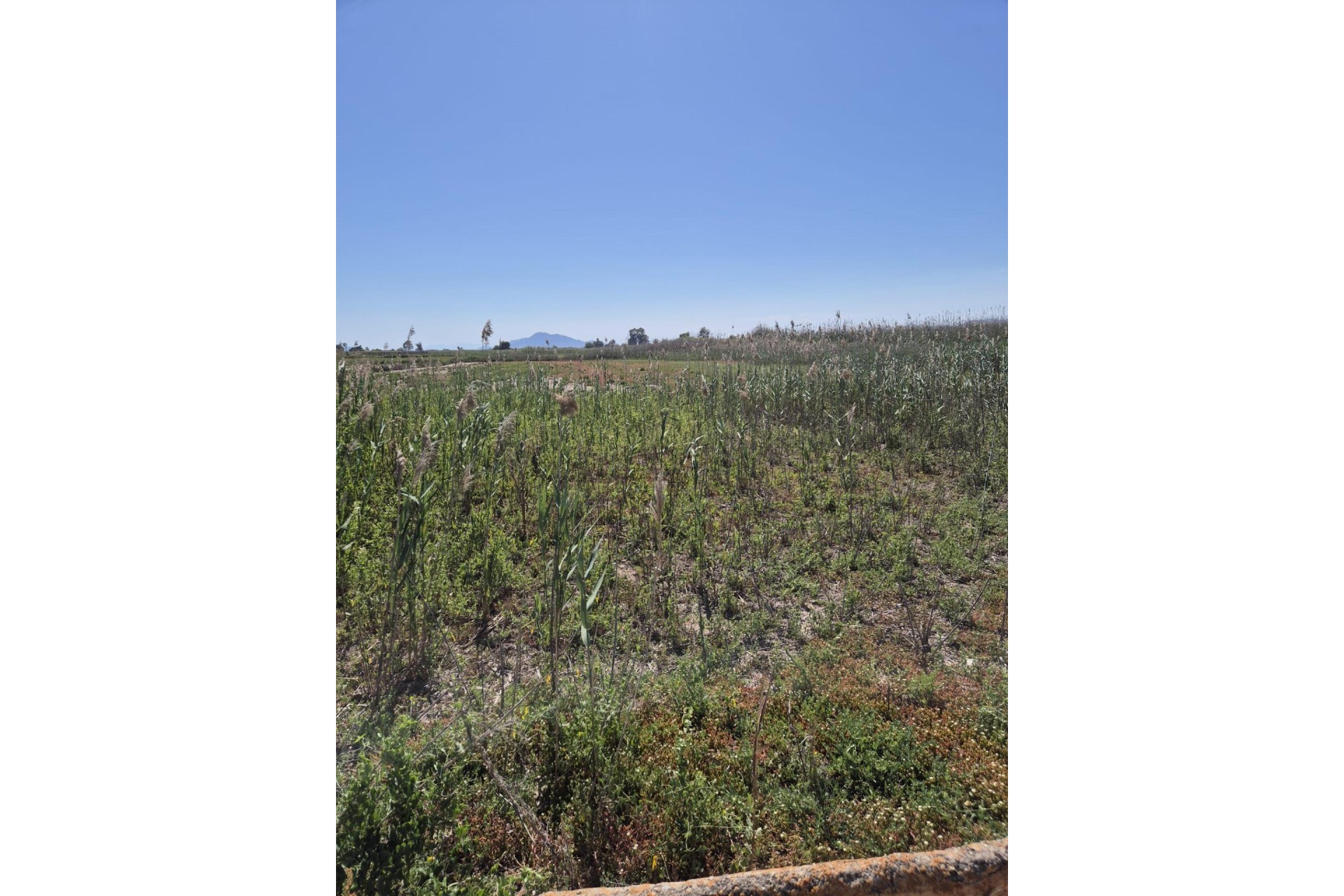 Resale - Plot / Land - Elche Pedanías - La Hoya-Daimes-El Derramador