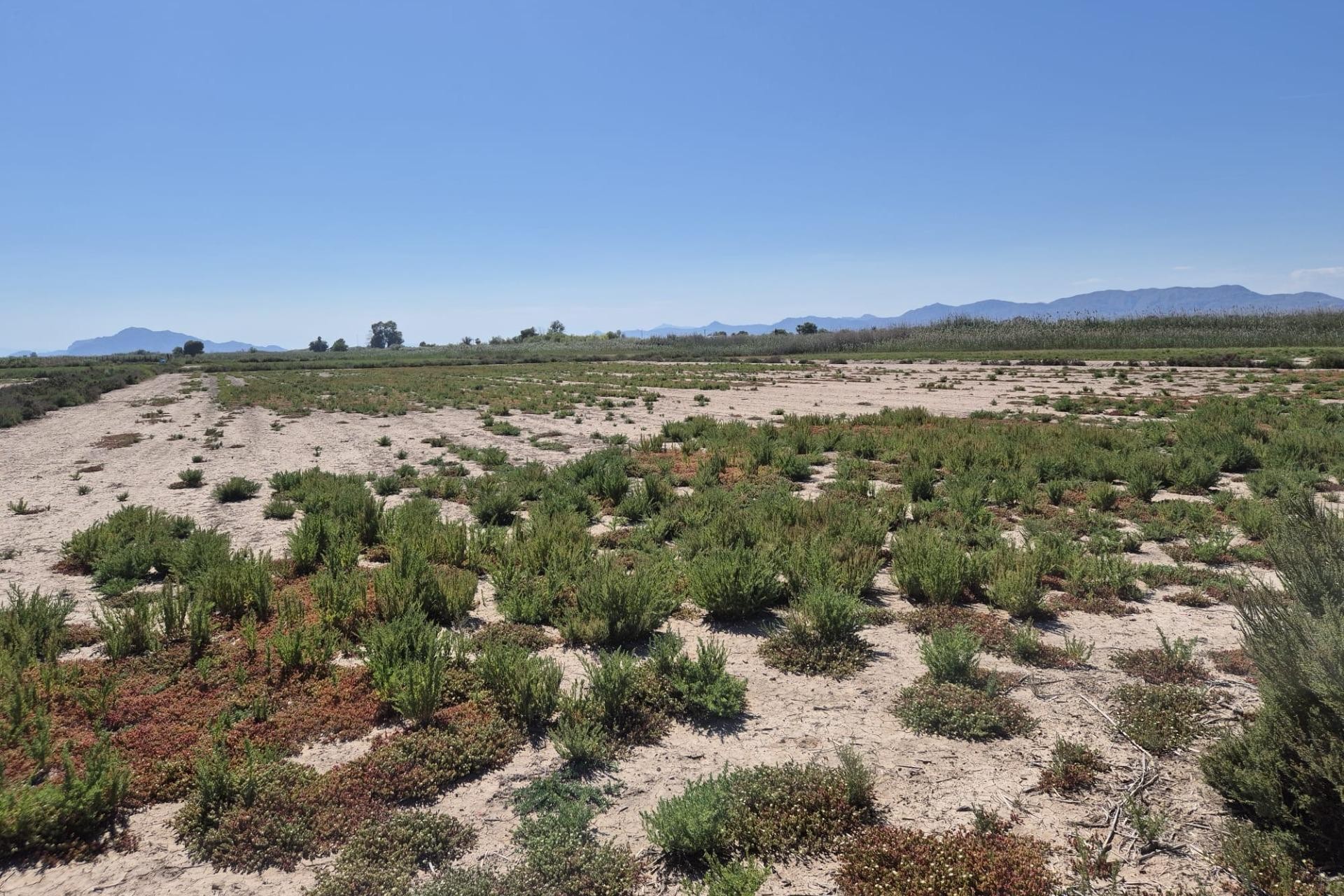 Resale - Plot / Land - Elche Pedanías - La Hoya-Daimes-El Derramador