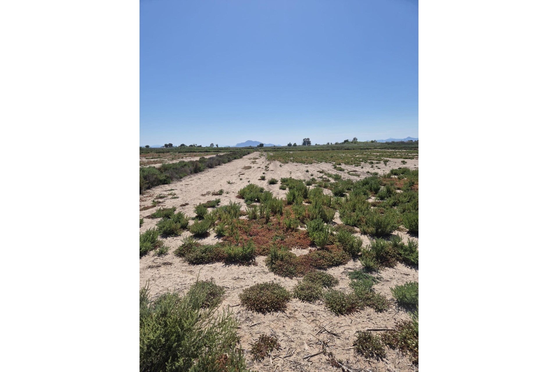 Resale - Plot / Land - Elche Pedanías - La Hoya-Daimes-El Derramador