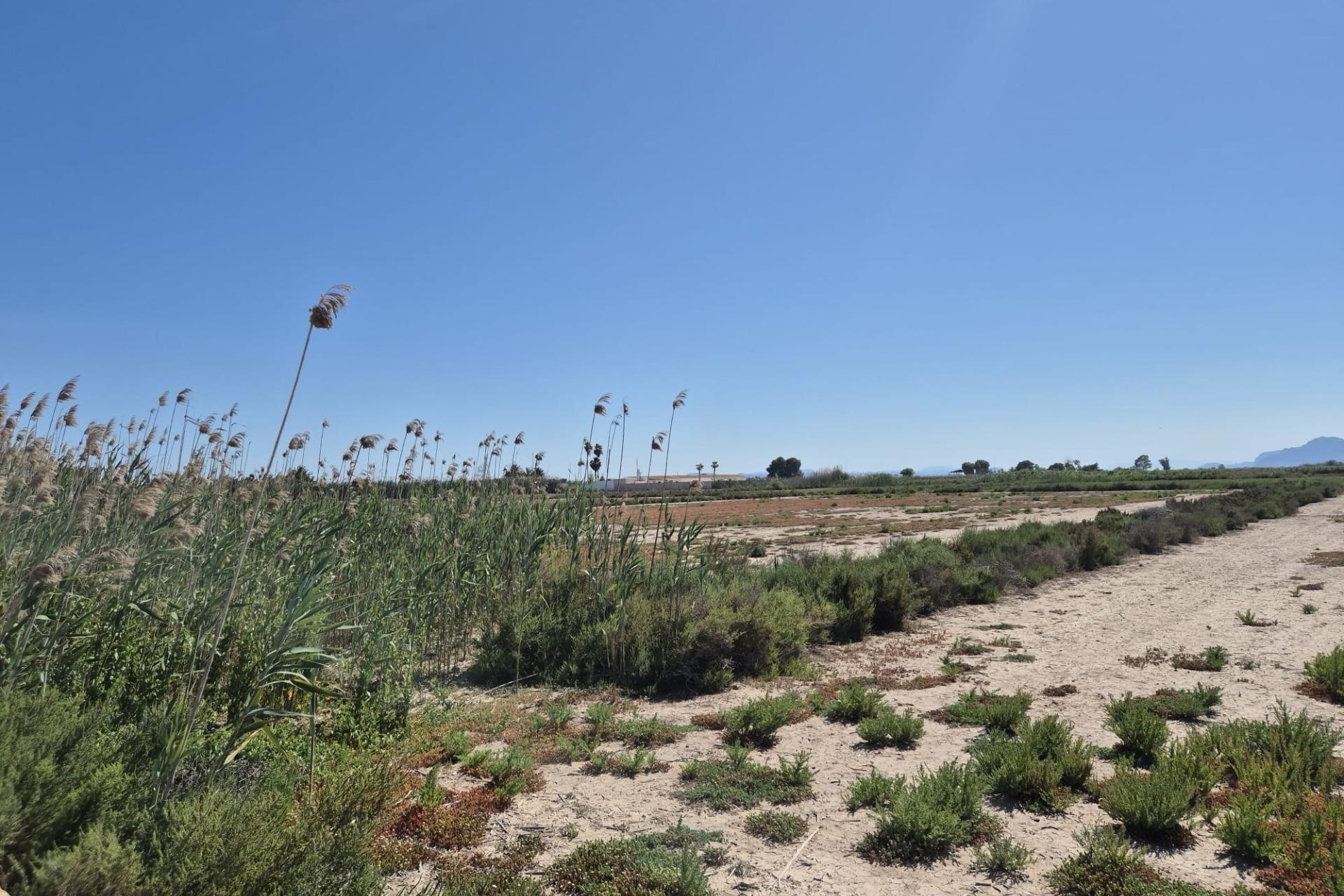 Resale - Plot / Land - Elche Pedanías - La Hoya-Daimes-El Derramador