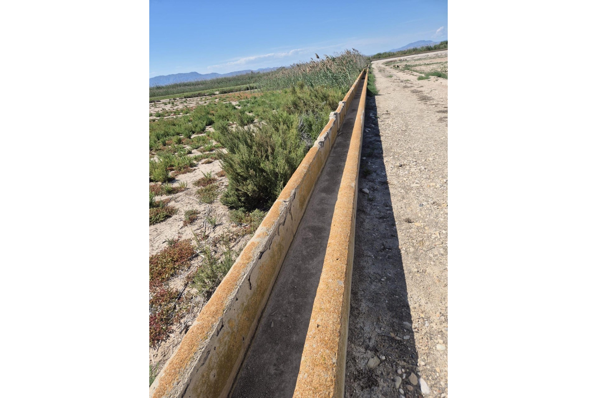 Resale - Plot / Land - Elche Pedanías - La Hoya-Daimes-El Derramador