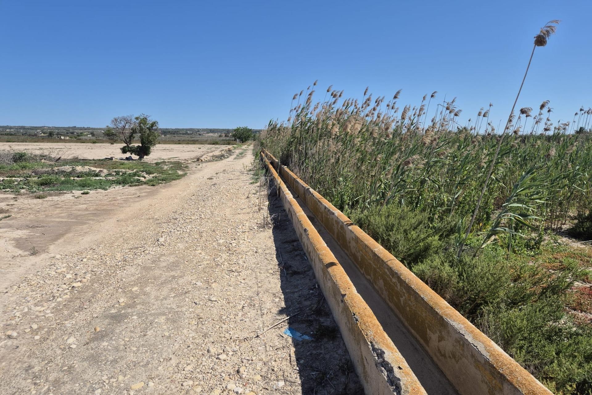 Resale - Plot / Land - Elche Pedanías - La Hoya-Daimes-El Derramador