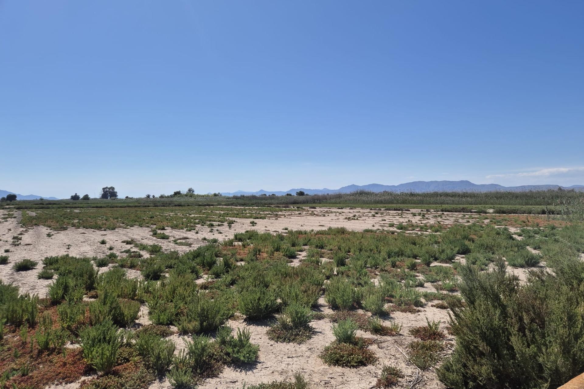 Resale - Plot / Land - Elche Pedanías - La Hoya-Daimes-El Derramador
