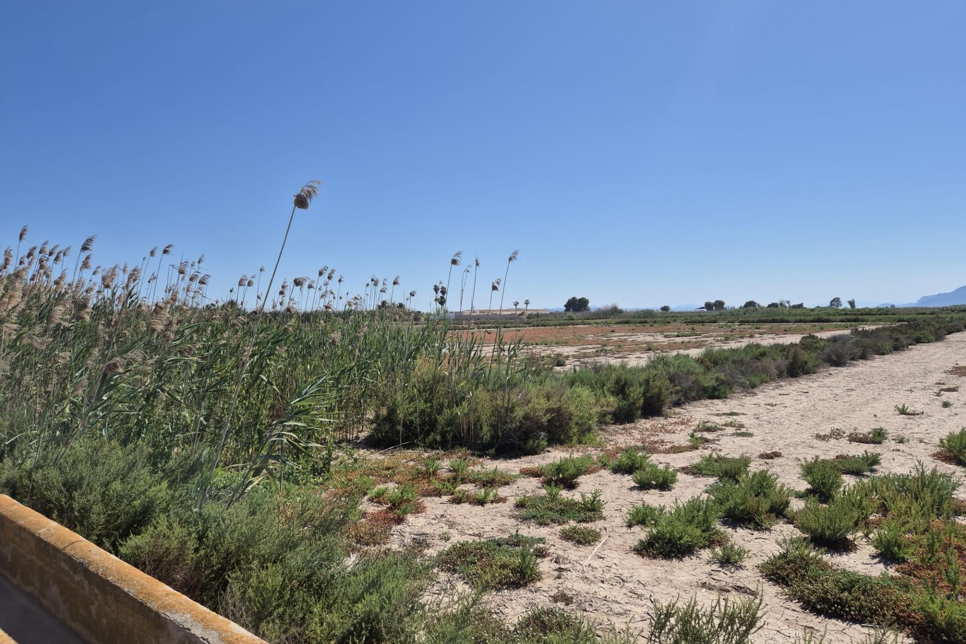 Resale - Plot / Land - Elche Pedanías - La Hoya-Daimes-El Derramador