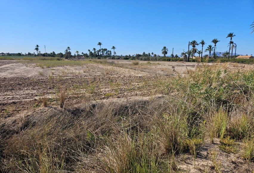 Resale - Plot / Land - Elche Pedanías - La Hoya