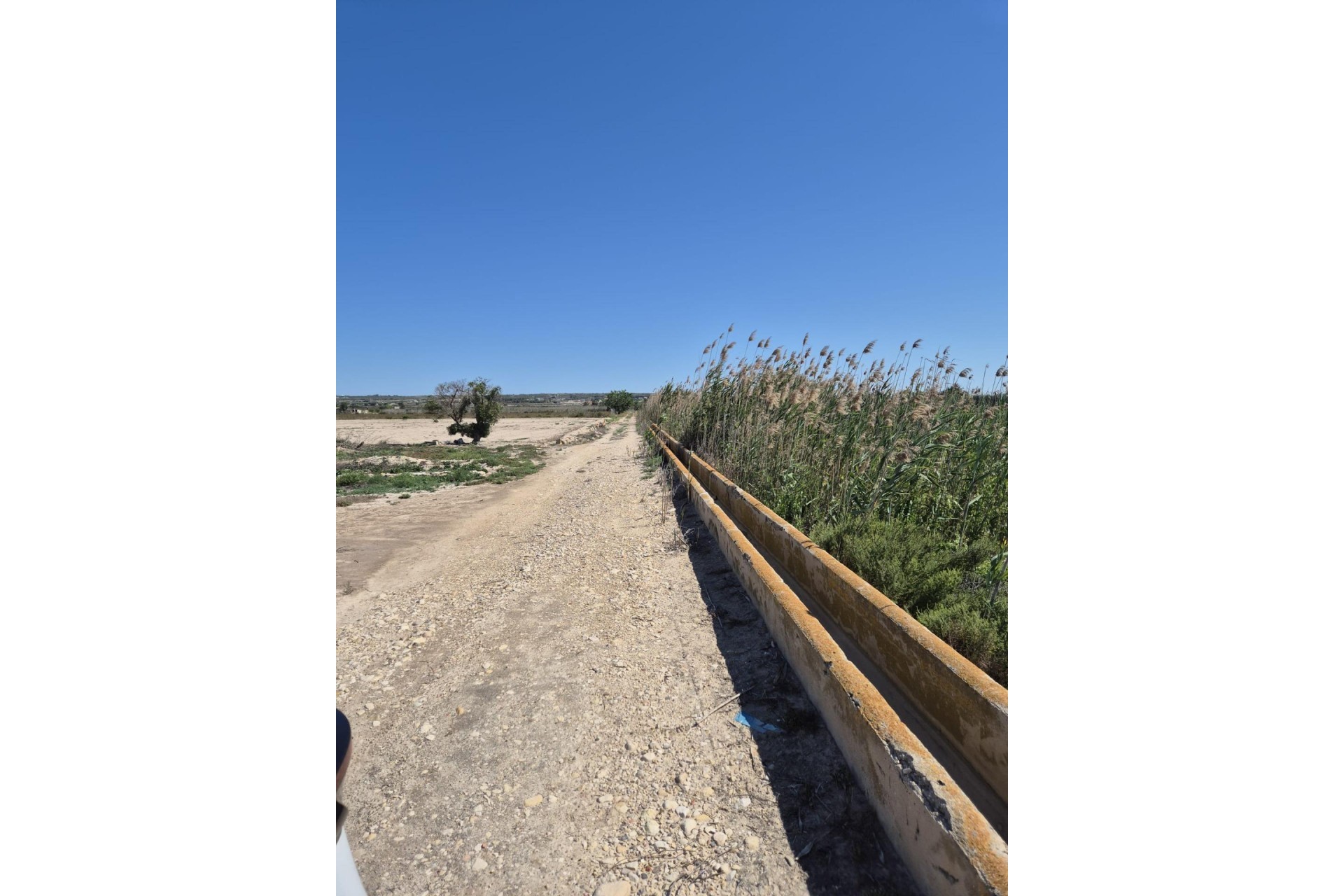 Resale - Plot / Land - Elche Pedanías - La Hoya