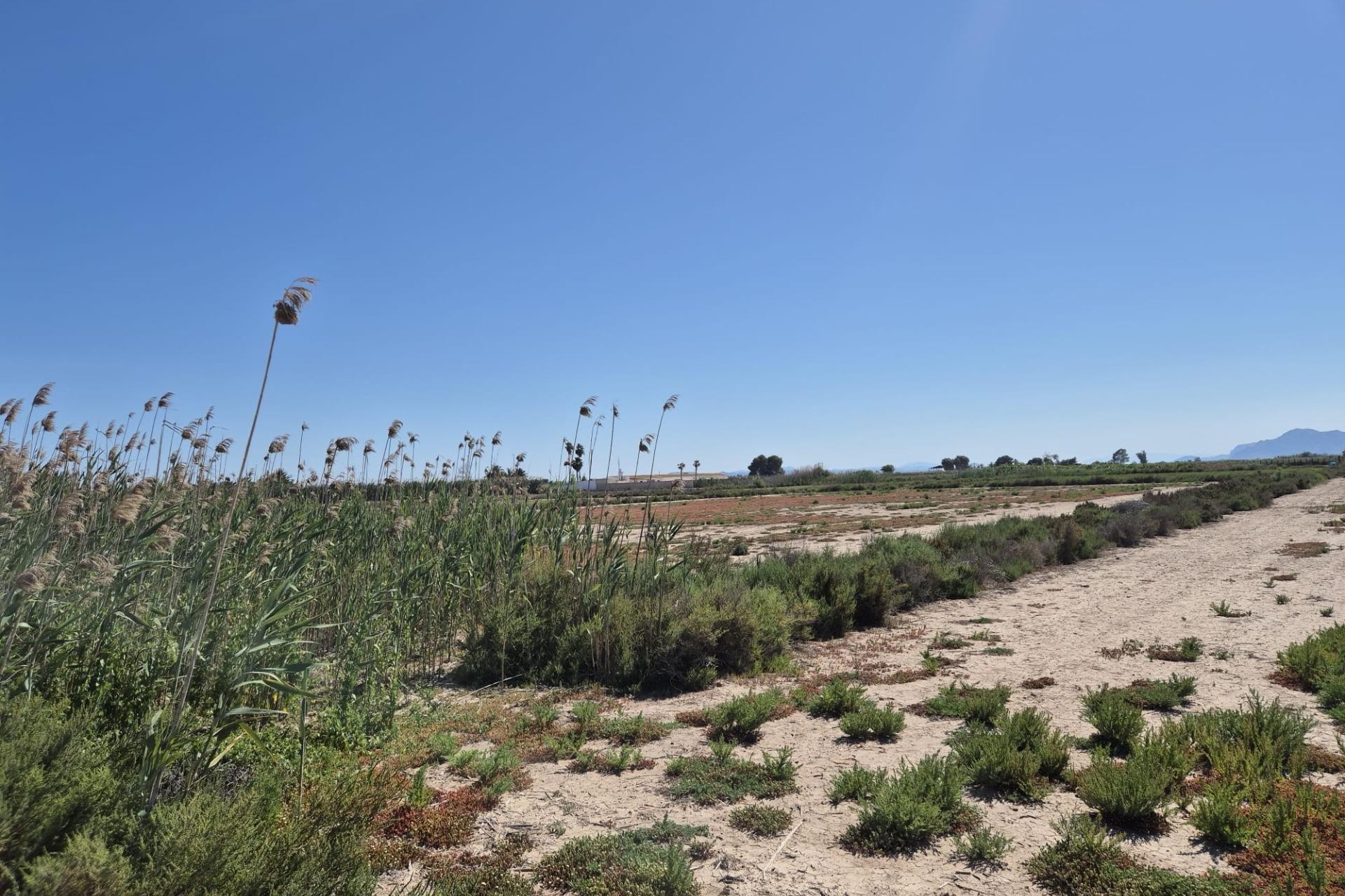 Resale - Plot / Land - Elche Pedanías - La Hoya