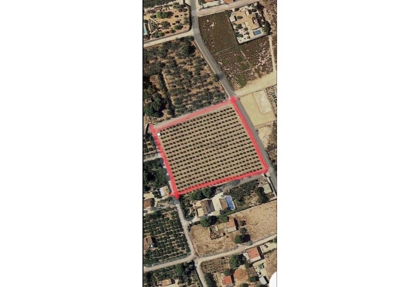 Resale - Plot / Land - Elche Pedanías - La Hoya