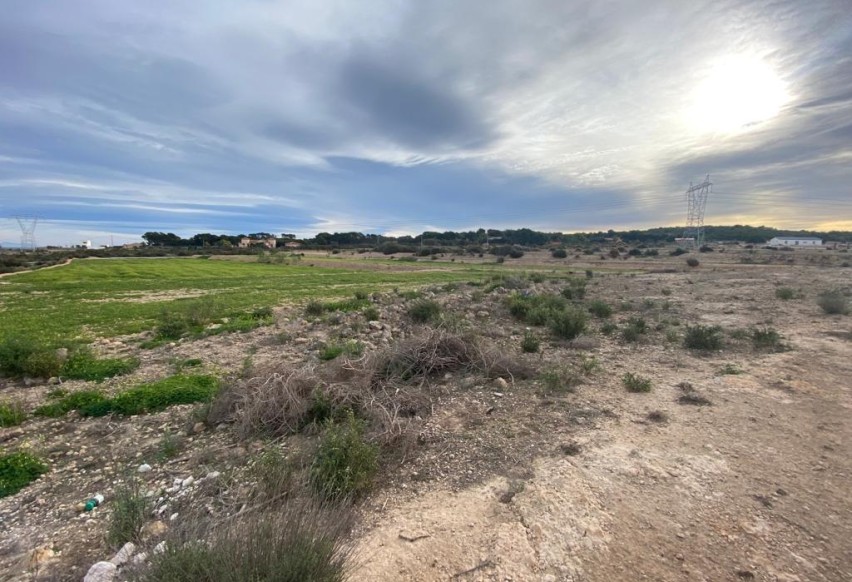 Resale - Plot / Land - Elche Pedanías - La Marina