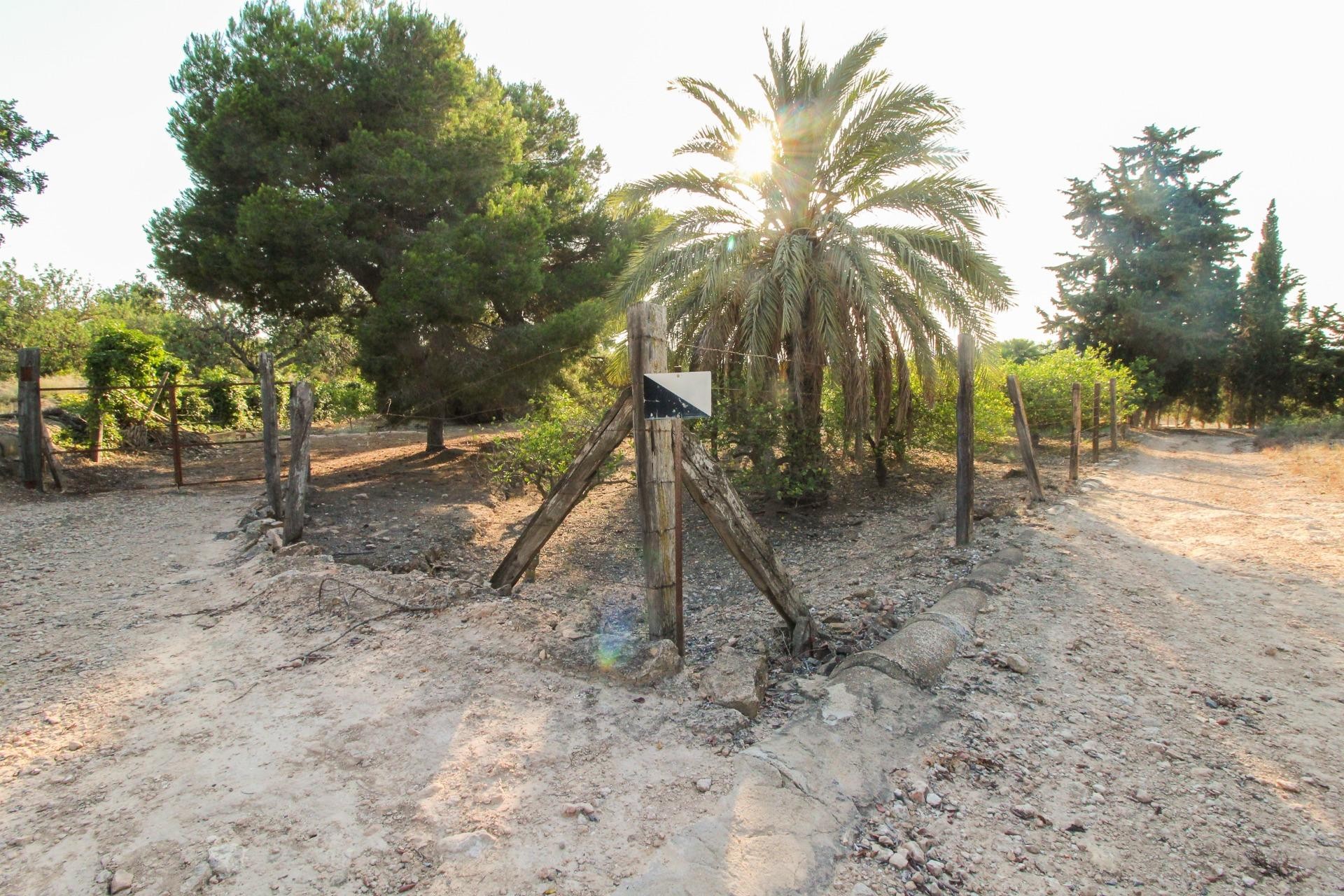 Resale - Plot / Land - Elche Pedanías - La Marina