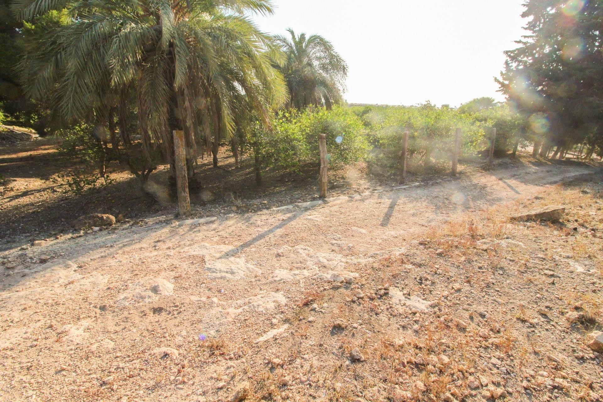 Resale - Plot / Land - Elche Pedanías - La Marina
