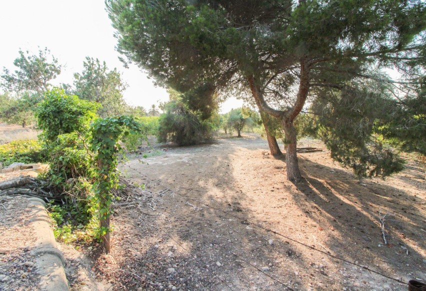 Resale - Plot / Land - Elche Pedanías - La Marina
