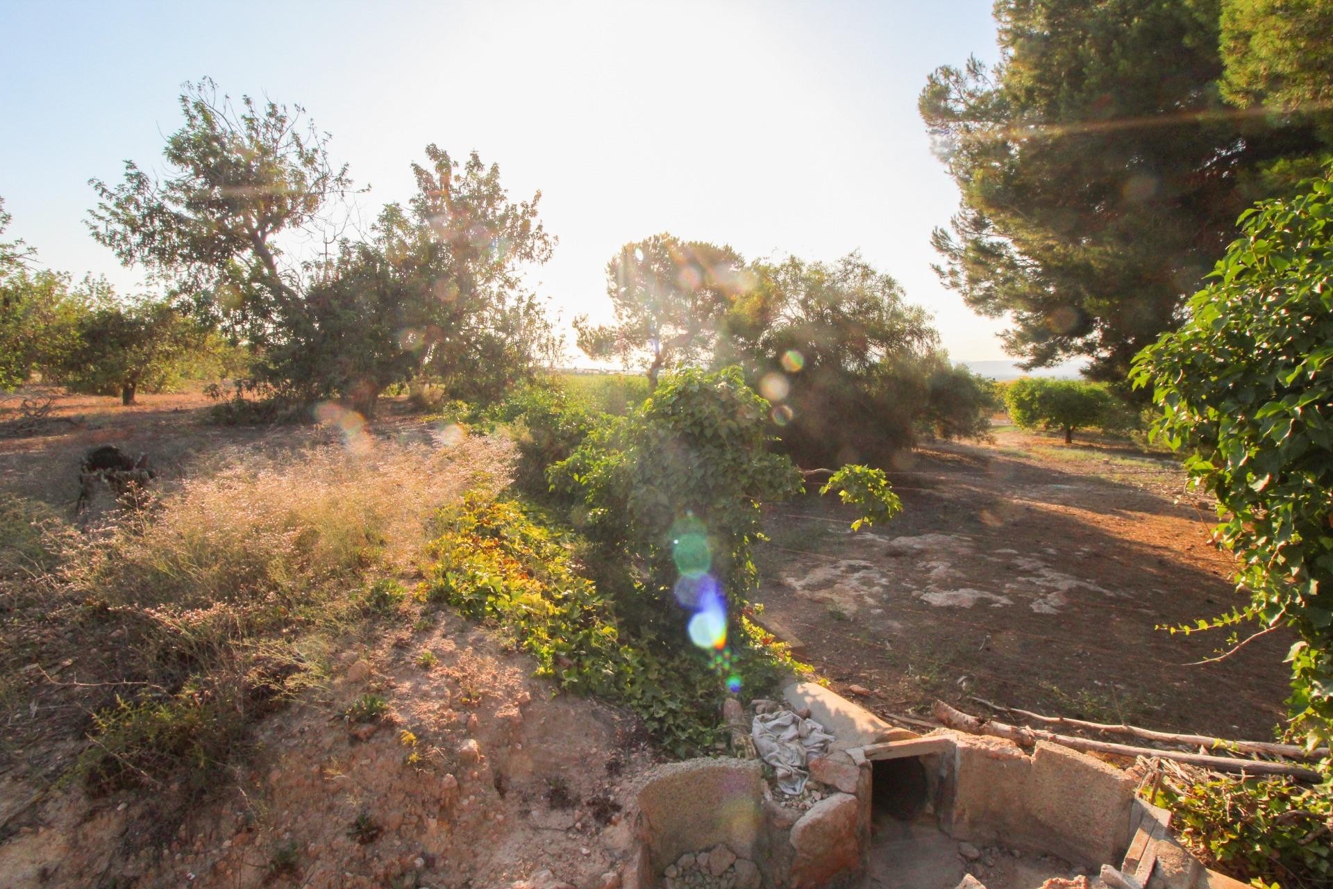 Resale - Plot / Land - Elche Pedanías - La Marina