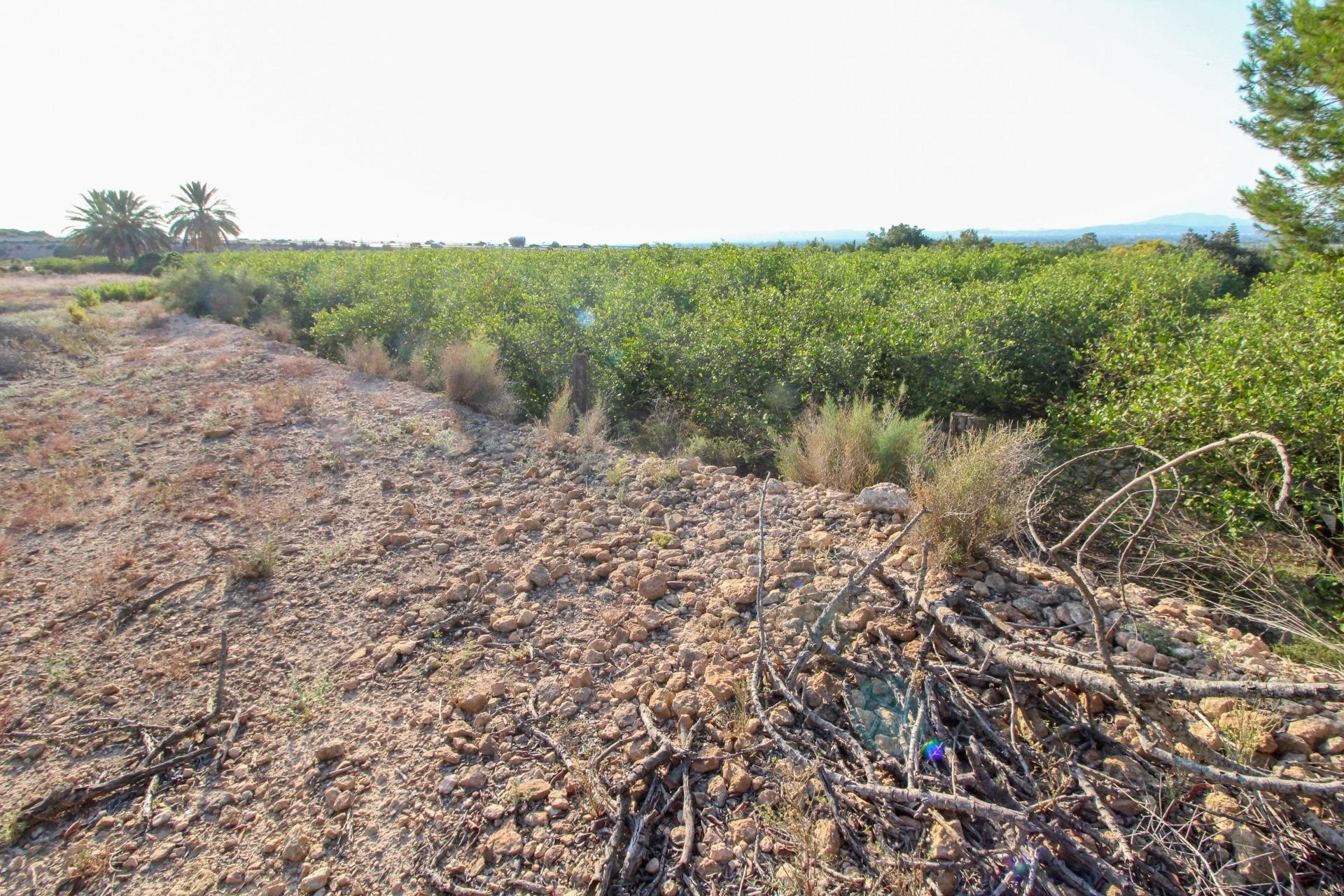 Resale - Plot / Land - Elche Pedanías - La Marina