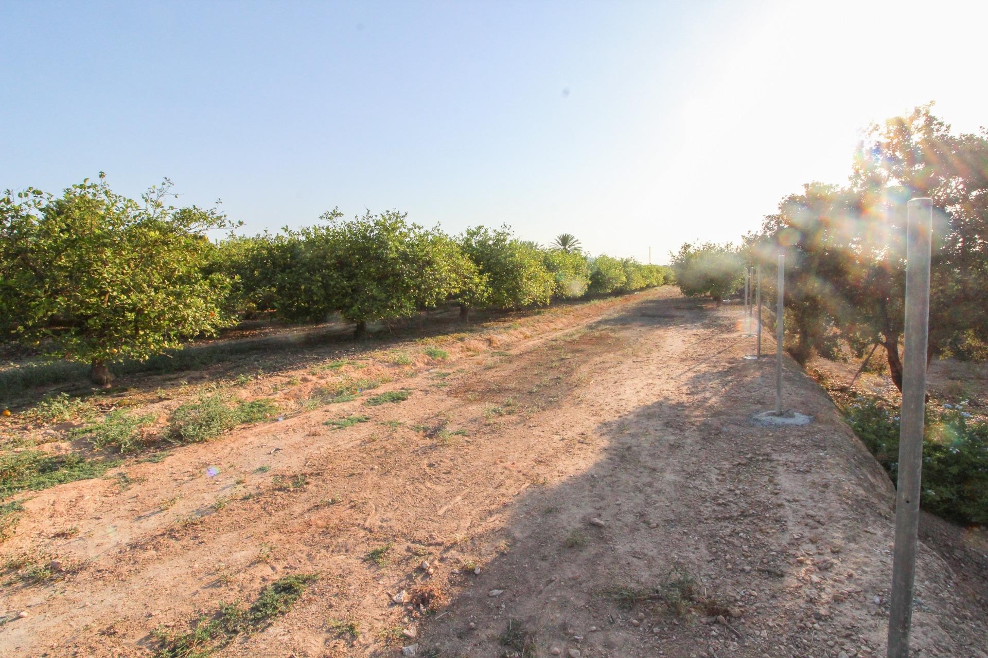 Resale - Plot / Land - Elche Pedanías - La Marina