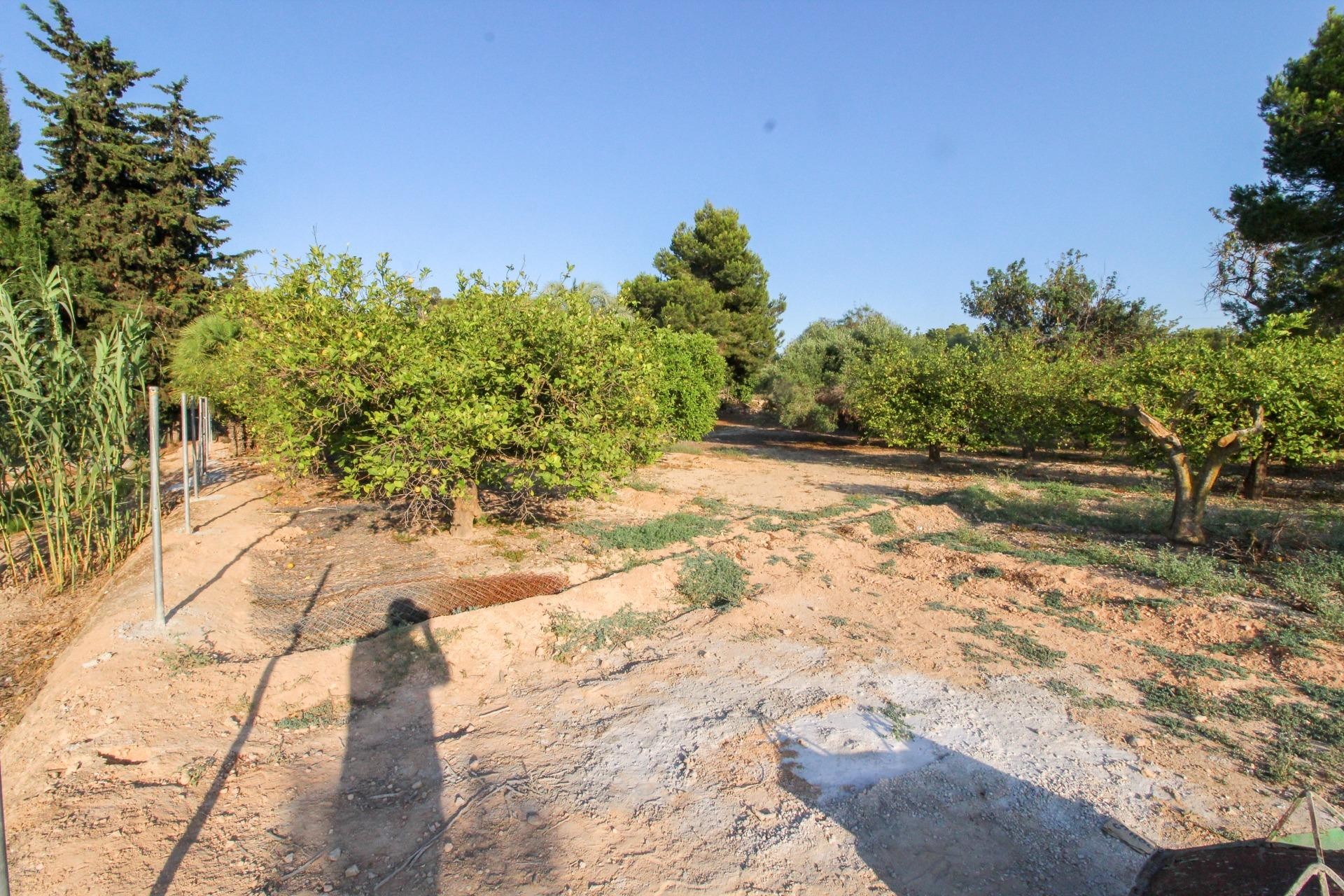 Resale - Plot / Land - Elche Pedanías - La Marina