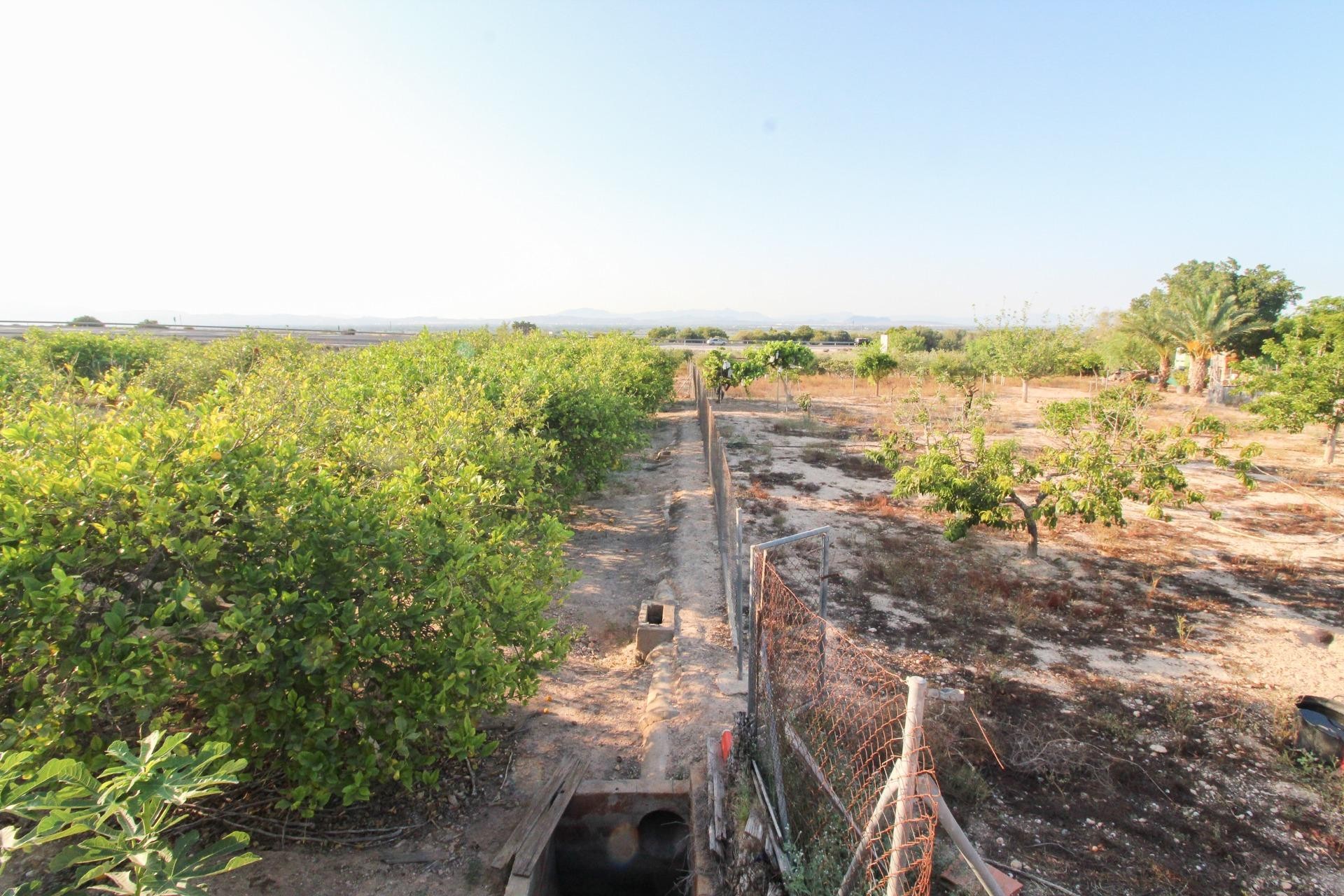 Resale - Plot / Land - Elche Pedanías - La Marina