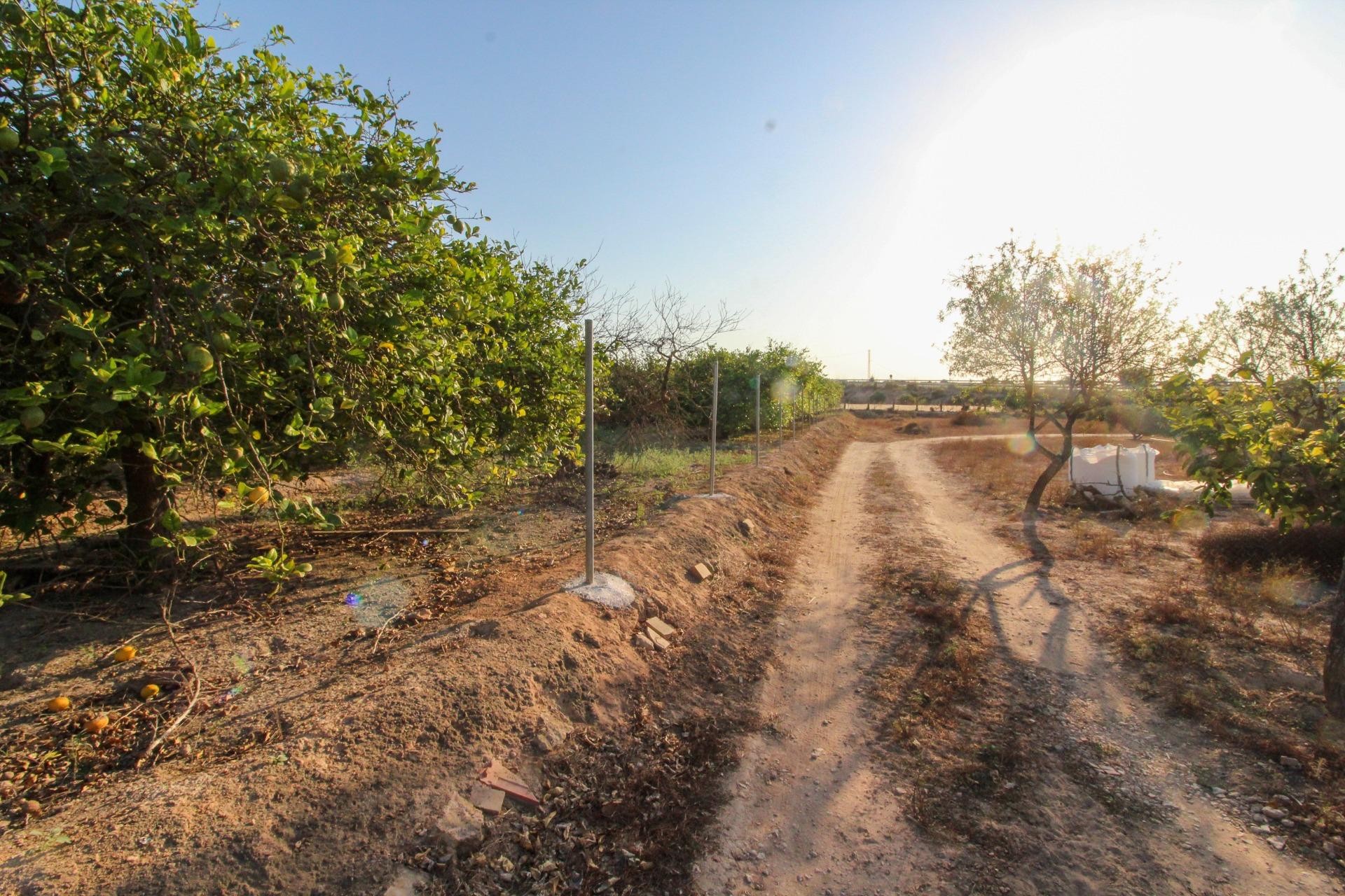 Resale - Plot / Land - Elche Pedanías - La Marina