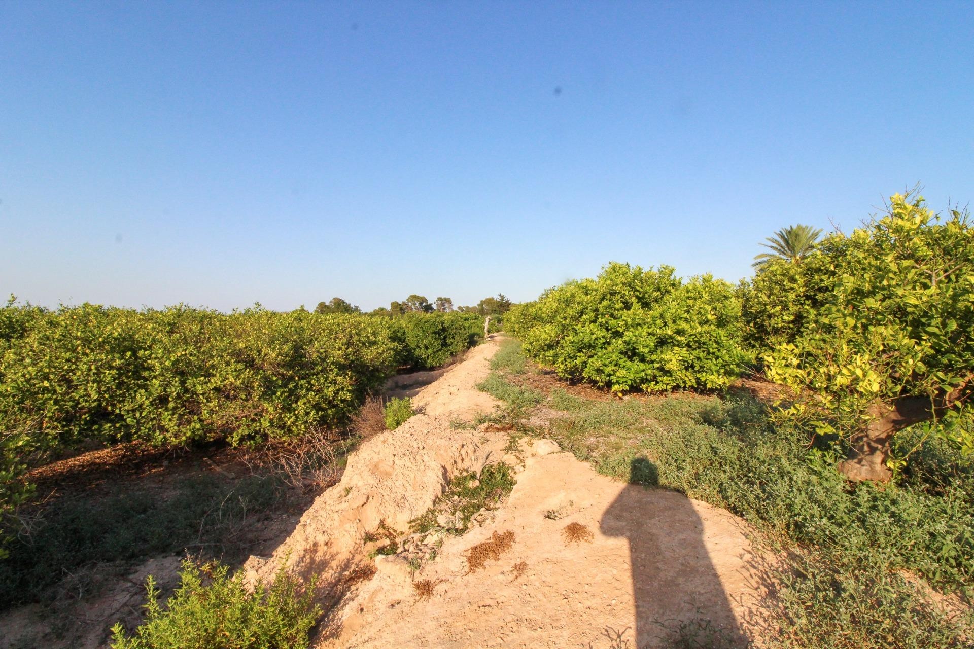 Resale - Plot / Land - Elche Pedanías - La Marina