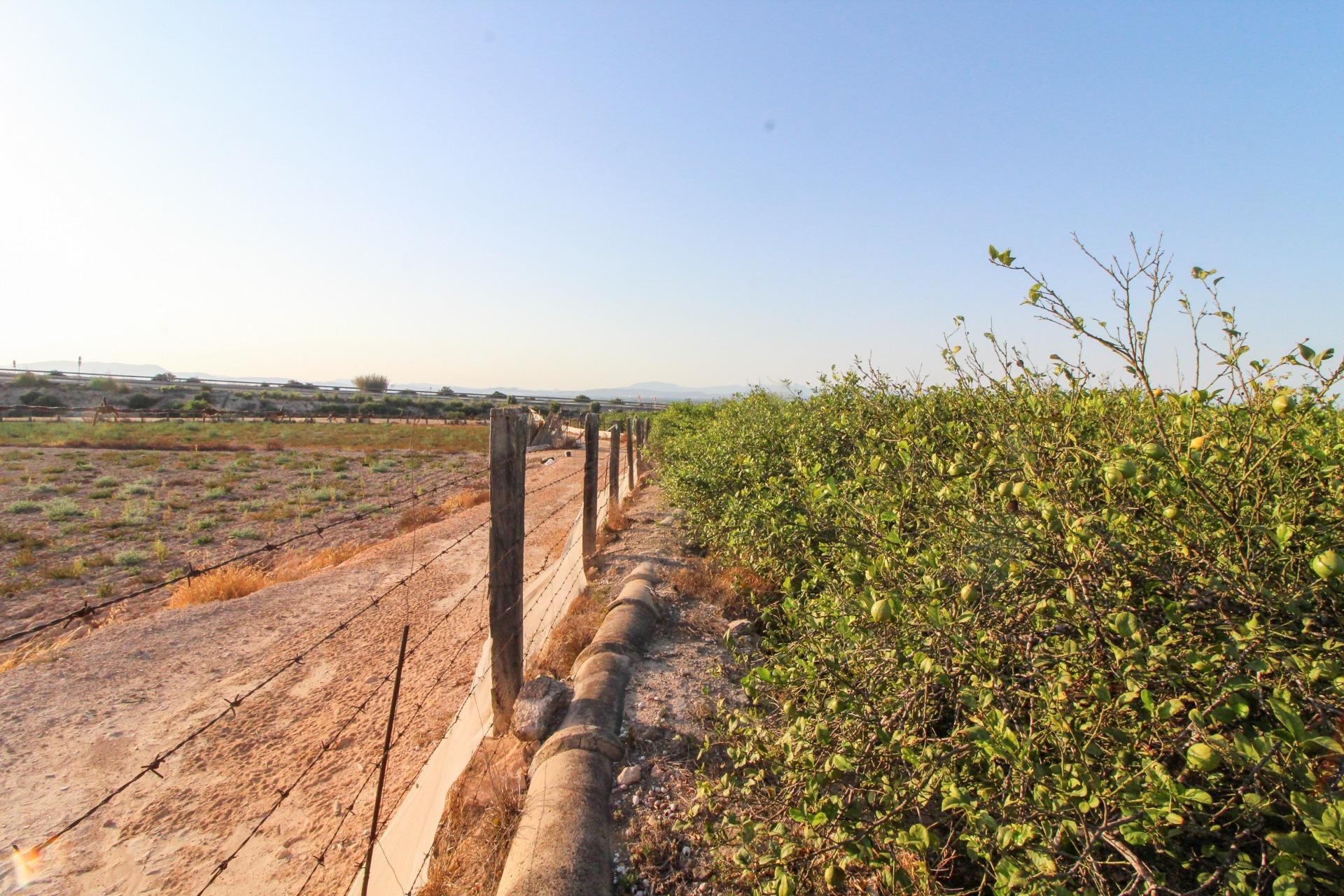 Resale - Plot / Land - Elche Pedanías - La Marina