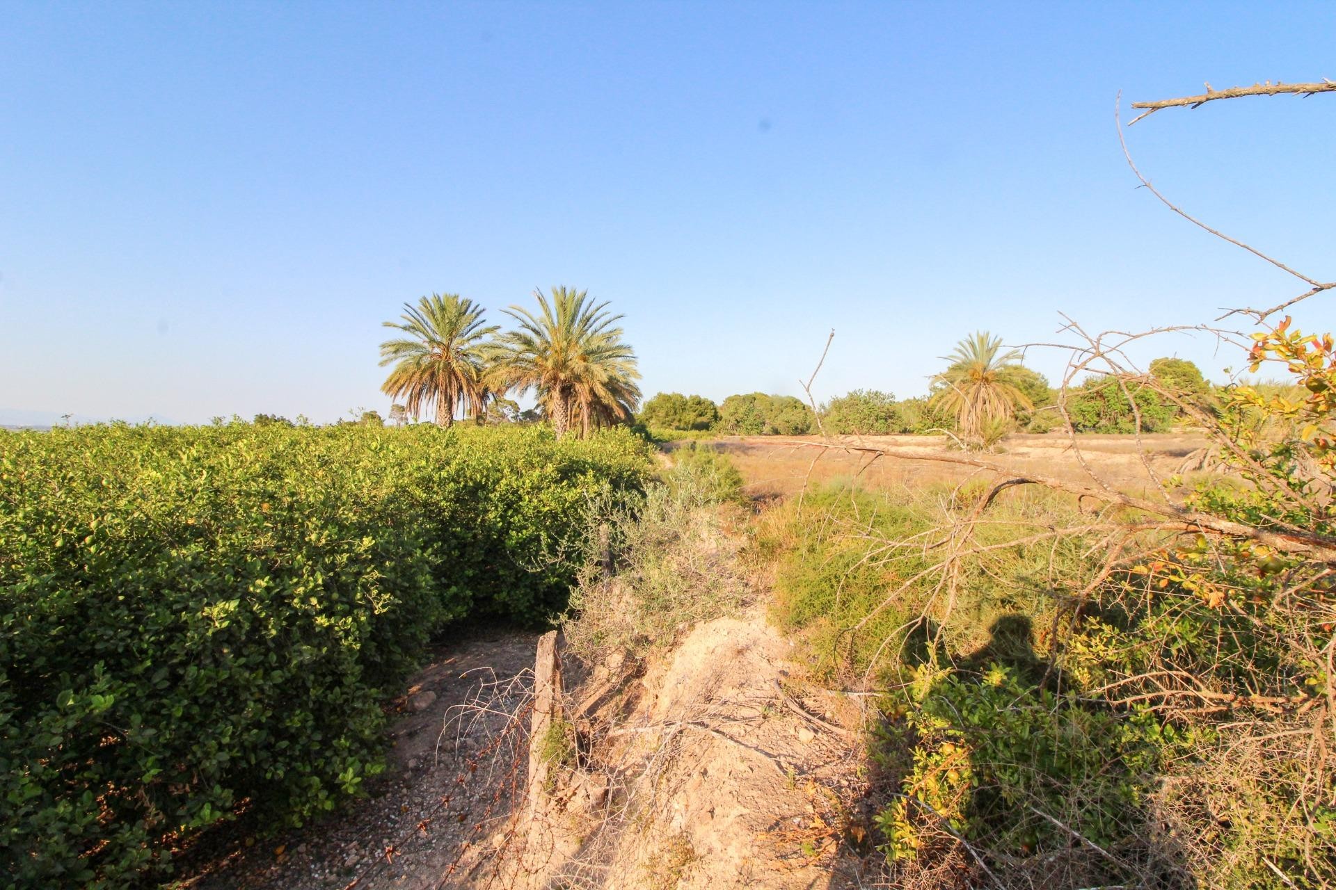 Resale - Plot / Land - Elche Pedanías - La Marina