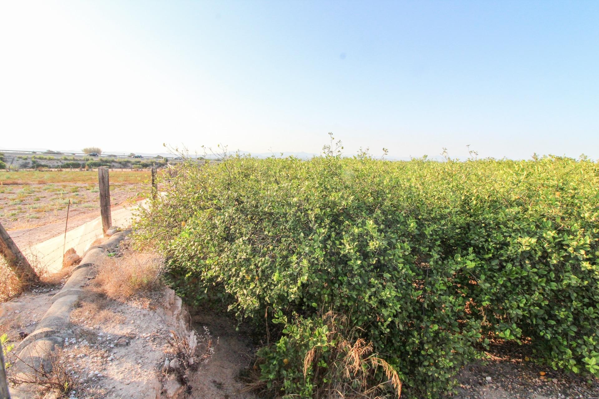 Resale - Plot / Land - Elche Pedanías - La Marina