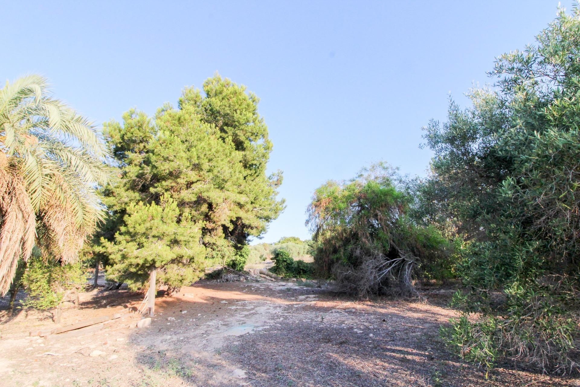 Resale - Plot / Land - Elche Pedanías - La Marina