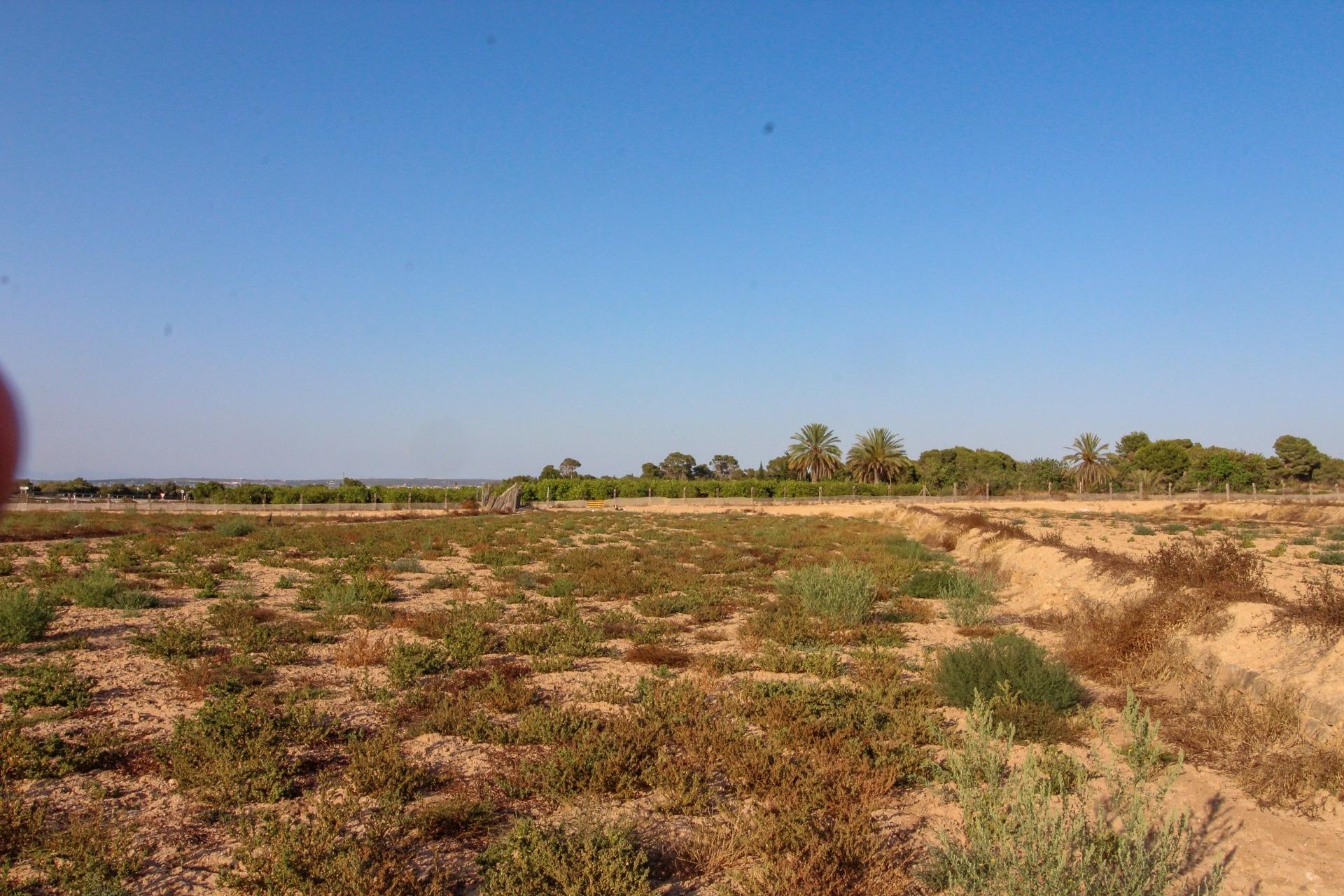 Resale - Plot / Land - Elche Pedanías - La Marina