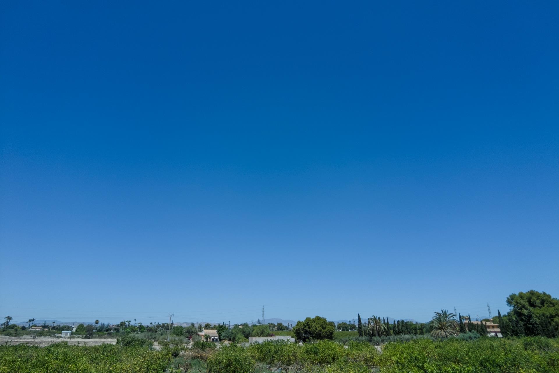 Resale - Plot / Land - Elche Pedanías - Las Bayas