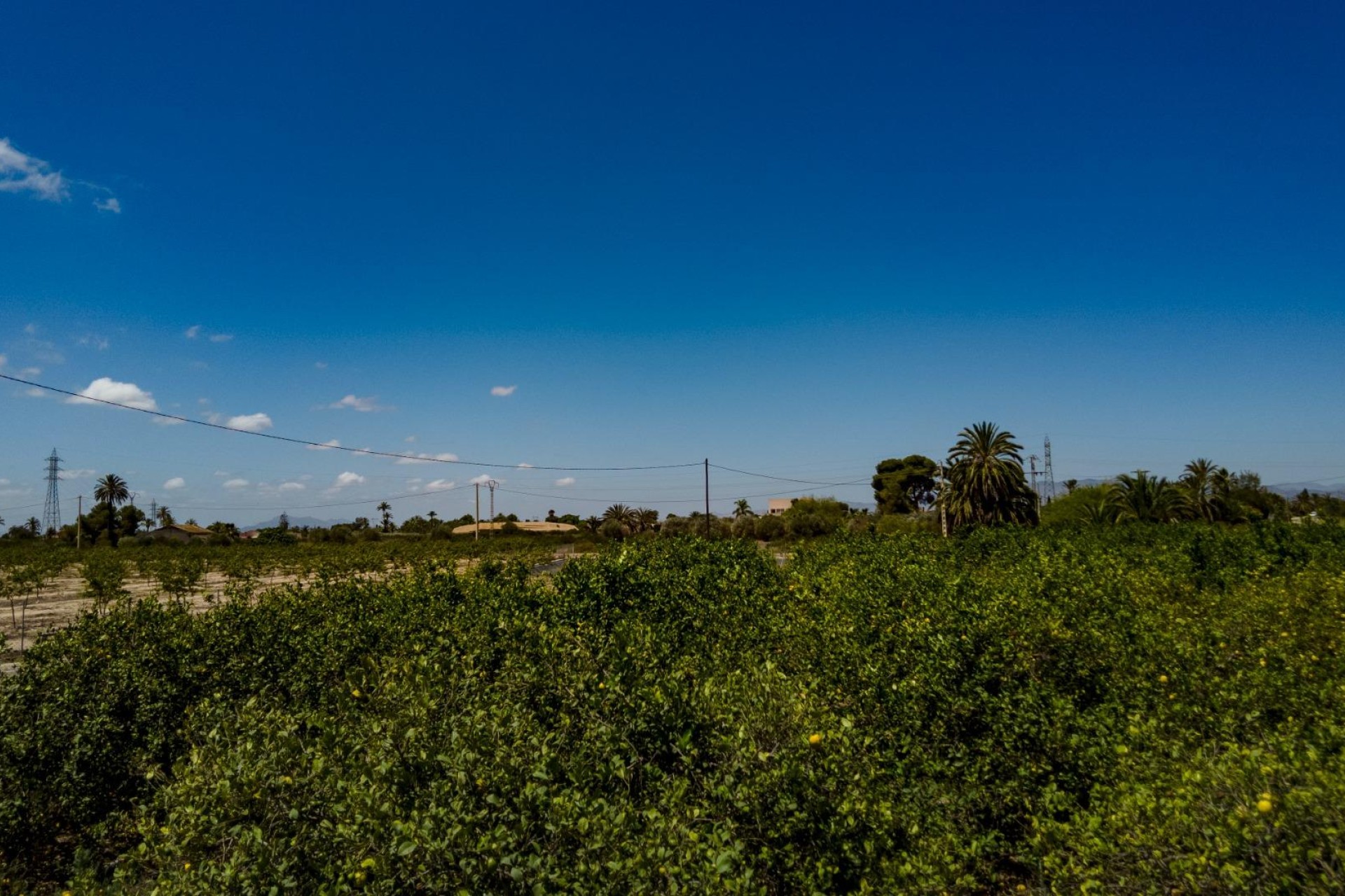 Resale - Plot / Land - Elche Pedanías - Las Bayas