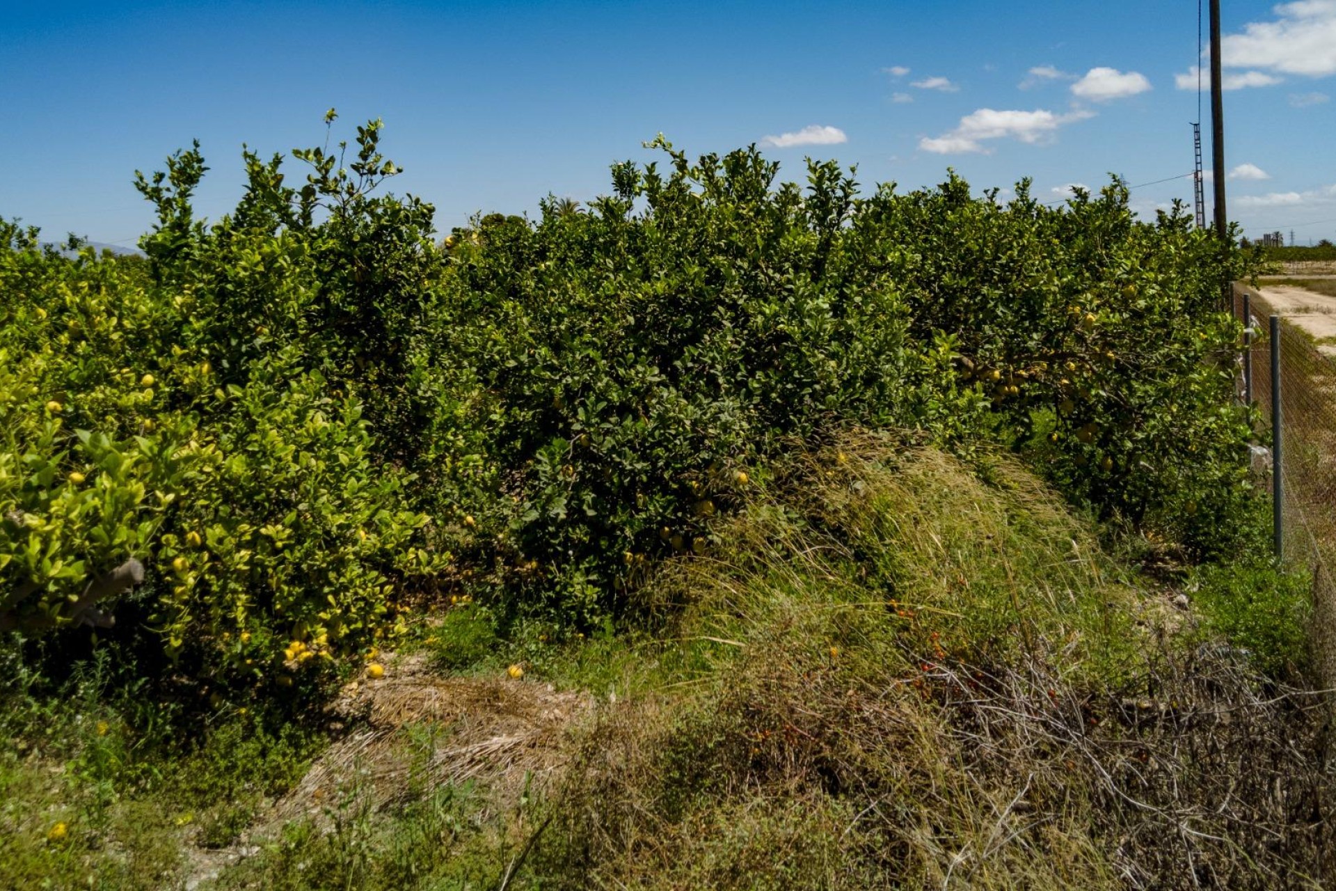 Resale - Plot / Land - Elche Pedanías - Las Bayas