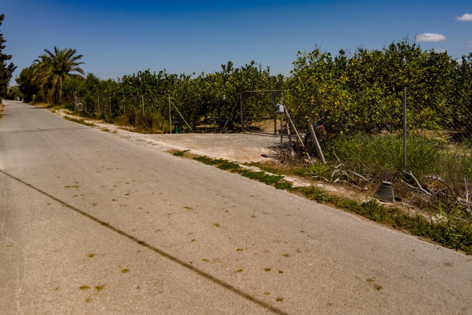Resale - Plot / Land - Elche Pedanías - Las Bayas