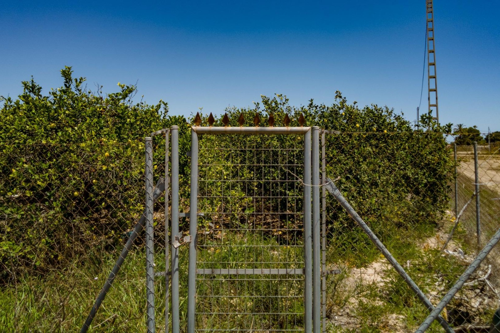 Resale - Plot / Land - Elche Pedanías - Las Bayas