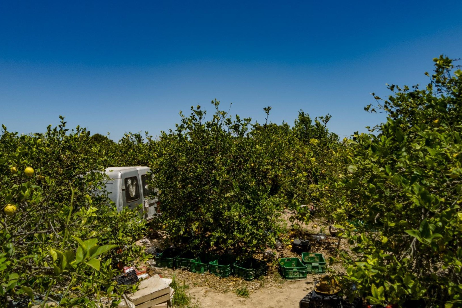 Resale - Plot / Land - Elche Pedanías - Las Bayas