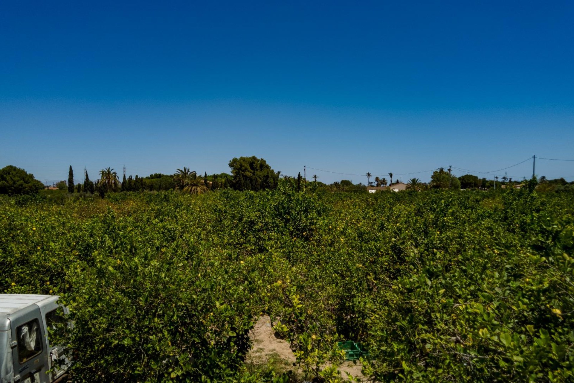 Resale - Plot / Land - Elche Pedanías - Las Bayas