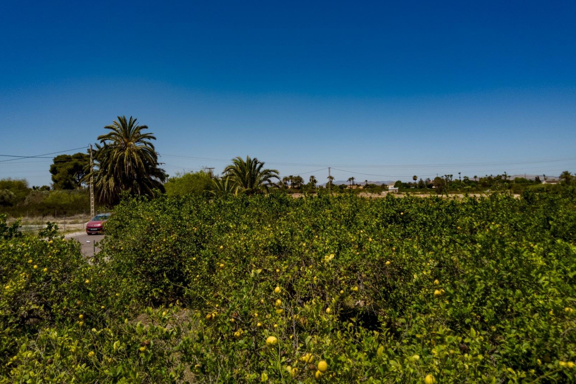 Resale - Plot / Land - Elche Pedanías - Las Bayas