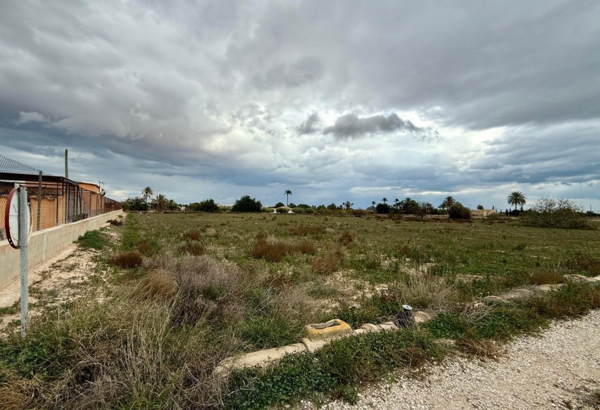 Resale - Plot / Land - Elche Pedanías - Maitino-Perleta